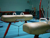 The gym is equipped to FIG standards