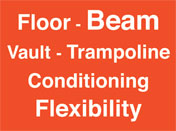 Floor, beam, vault, trampoline, conditioning, flexibility