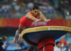 Gymnastics, vault